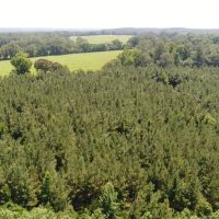 126 - ac Crenshaw Co images 2