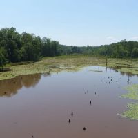 126 - ac Crenshaw Co images 3