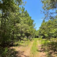 126 - ac Crenshaw Co images 5