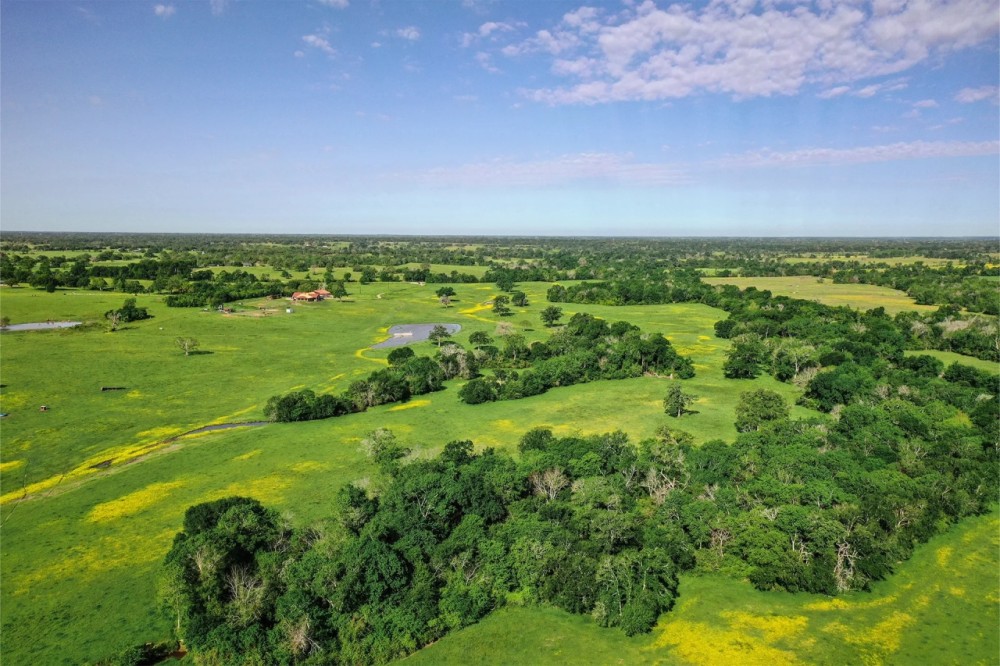 225 - Acres Madison County Texas featured image