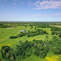 225 - Acres Madison County Texas