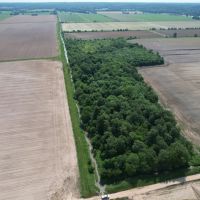 24 m l ACRES IN GREENE COUNTY ARKANSAS images 1