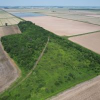 24 m l ACRES IN GREENE COUNTY ARKANSAS images 2