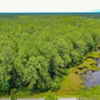 62 Acre Country Living in Ware County GA images 2