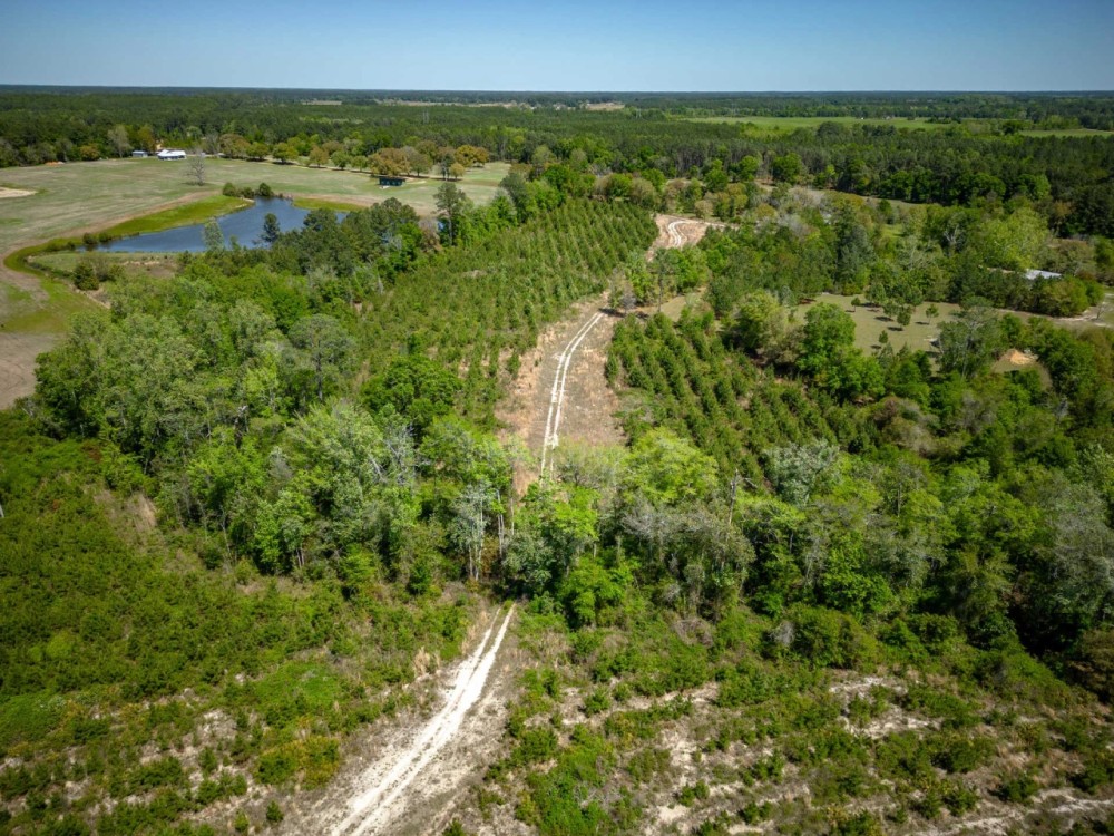 Hurricane Creek Bluff featured image