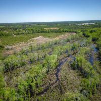 Hurricane Creek Bluff images 3