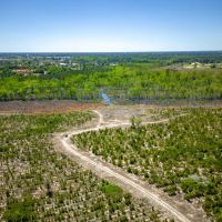 Hurricane Creek Bluff images 4