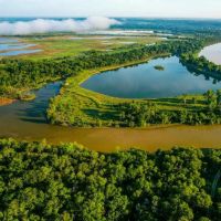Pura Vida on the Brazos images 3