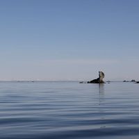 Passage Island images 2