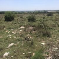 West Texas Land for Sale in Irion County images 2