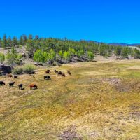 J Diamond B Ranch images 4