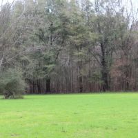 Chickasaw Bogue Hunting Property - 550 acres