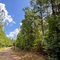 70 Acres T-6 CR 364 images 3