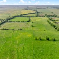 Northeast TX Pasture and Ranch Land For Sale images 3