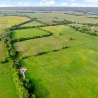 Northeast TX Pasture and Ranch Land For Sale images 4