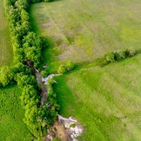 Northeast TX Pasture and Ranch Land For Sale images 5