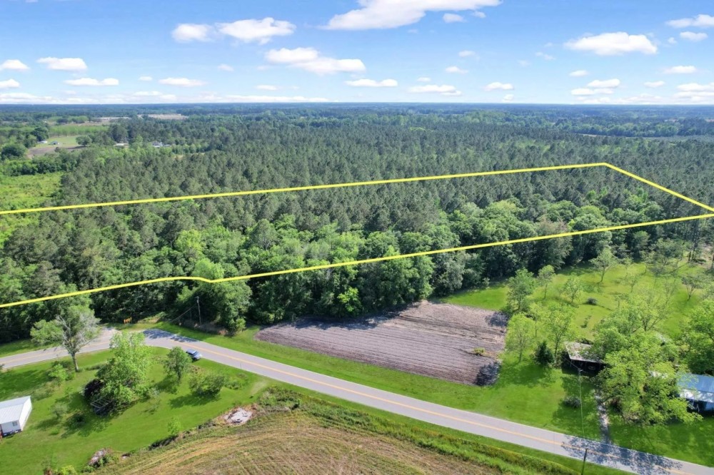 Piney Bluff Road - 10 Acres featured image