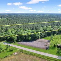 Piney Bluff Road - 10 Acres