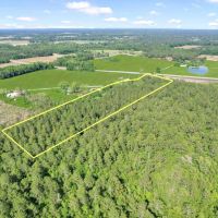 Piney Bluff Road - 10 Acres images 3