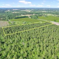 Piney Bluff Road - 10 Acres images 4
