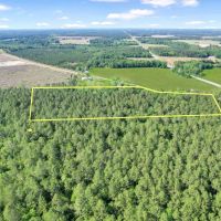 Piney Bluff Road - 10 Acres images 5