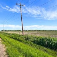 Garwood Tract 1 13 Acres Only 15K Down images 4
