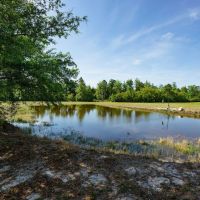 Pa dors Hunting Plantation at 5725 Hortense Road Screven Georgia images 3