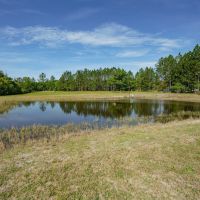 Pa dors Hunting Plantation at 5725 Hortense Road Screven Georgia images 4