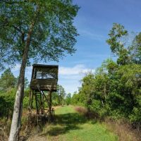 Pa dors Hunting Plantation at 5725 Hortense Road Screven Georgia images 5