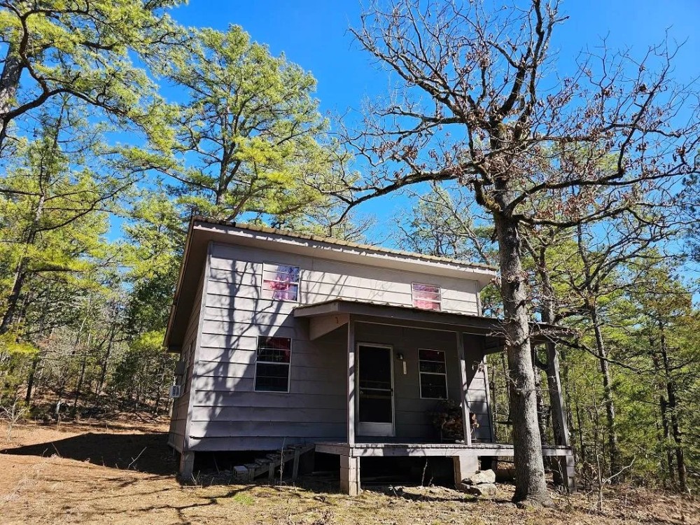 THE BEAR DEN - CABIN ON 10 ACRES featured image