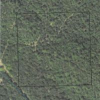 THE BEAR DEN - CABIN ON 10 ACRES images 2