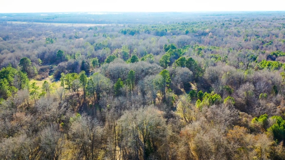 Hunting Recreational Land For Sale Clarksville TX featured image