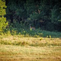 Sunrise Ranch images 2