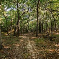 Sunrise Ranch images 3