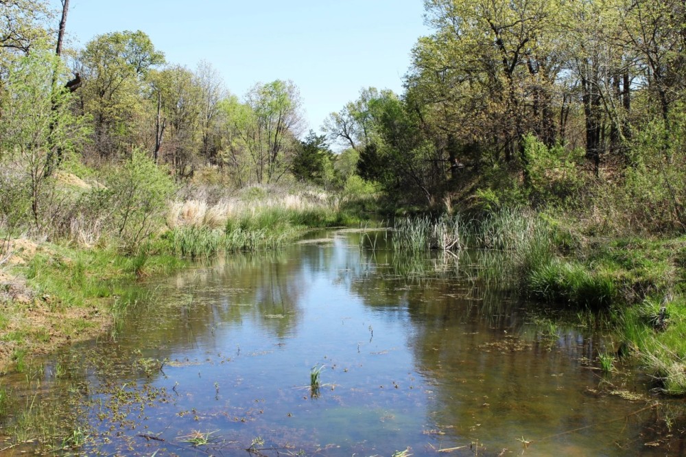 Creek County 80 Acres featured image