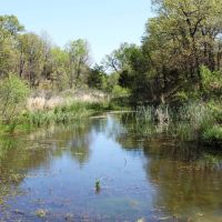 Creek County 80 Acres