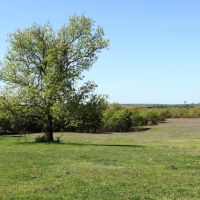 Creek County 80 Acres images 3