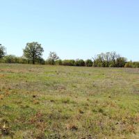Creek County 80 Acres images 4