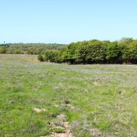 Creek County 80 Acres images 5