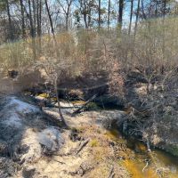 55 Acres Paces Creek T3076-10 images 4