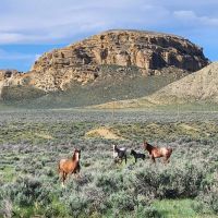 Wind River Ranch images 4