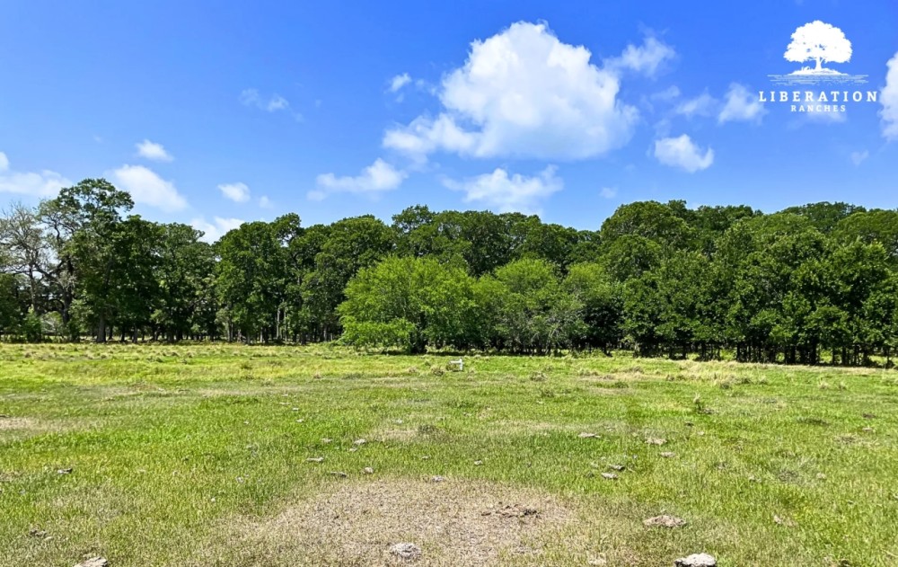 Wharton Tract 4 12 Acres Only 15K Down featured image