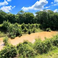 Wharton Tract 4 12 Acres Only 15K Down images 2
