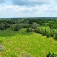 Wharton Tract 4 12 Acres Only 15K Down images 4