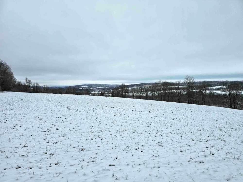 68 acres Tillable Farmland with Woods and Trout Stream in Summerhill NY Lake Como Road featured image