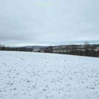 68 acres Tillable Farmland with Woods and Trout Stream in Summerhill NY Lake Como Road
