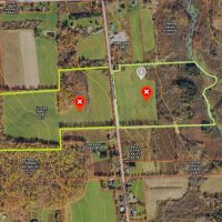 68 acres Tillable Farmland with Woods and Trout Stream in Summerhill NY Lake Como Road images 5