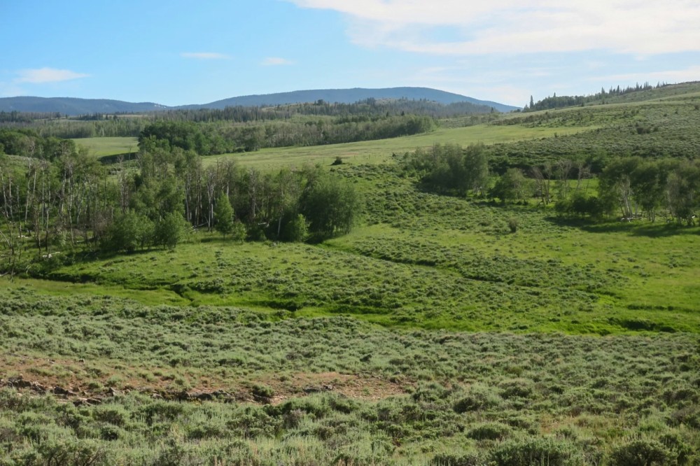 Lazy K Ranch featured image