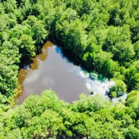 33.9 Acres with a Barndominium in Attala County MS images 3