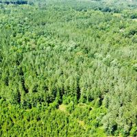 33.9 Acres with a Barndominium in Attala County MS images 4